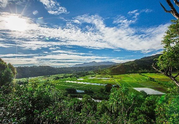 3rd image of Kuhio Hwy Lot 4-A