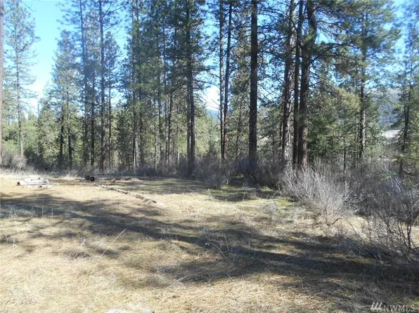 41953 Porcupine Bay Rd N, Davenport, WA 99122