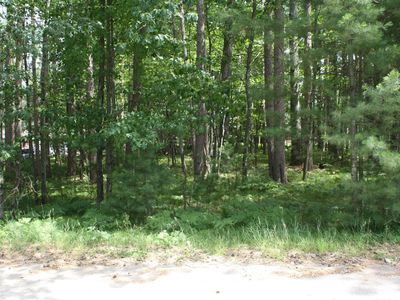 9421 Country Club Rd #Mi-3841, Minocqua, WI, 54548