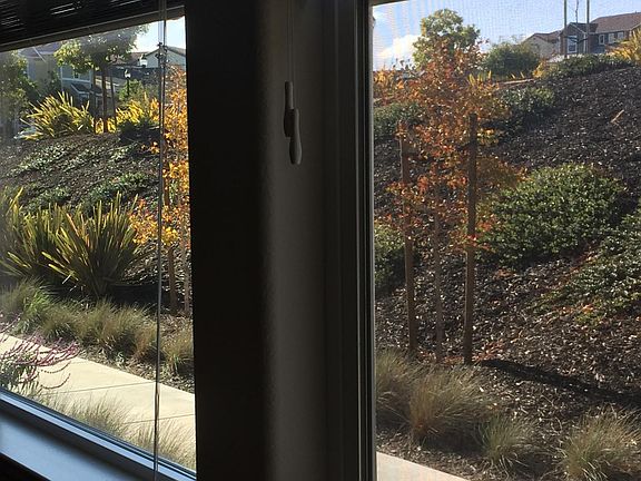 View from Living room window