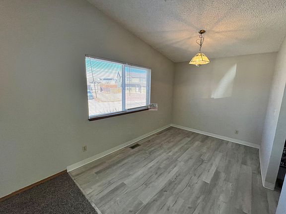 934_daffodil_c_12032022