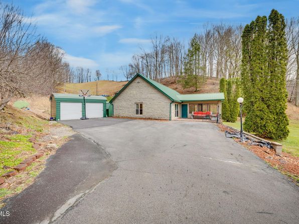 335 Shell Creek Rd, Roan Mountain, TN 37687