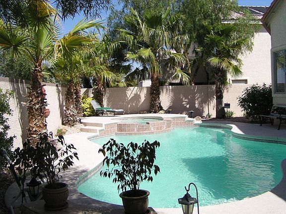 CUSTOM POOL/SPA/MATURE PALM TREES