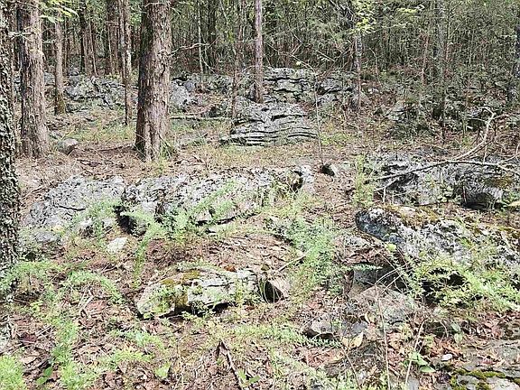 3rd image of 0 County Road 638