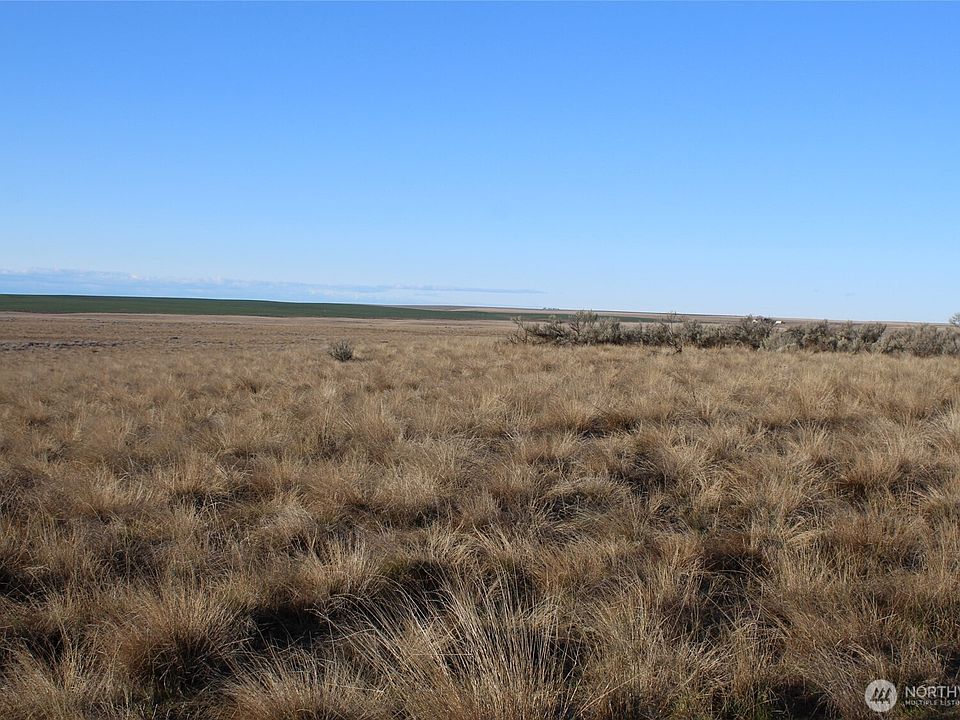 2nd image of 0 Schafer and Dewalt Road