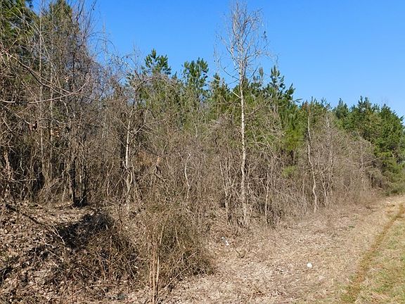 3rd image of 0 Crossroads Church Rd