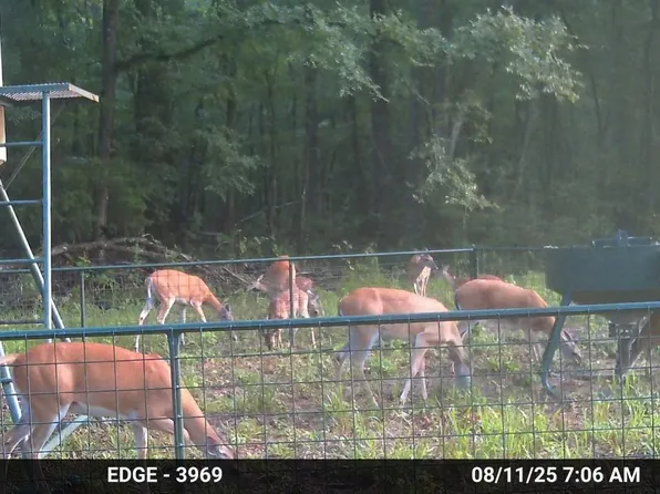 6935 Us Highway 175 W, Jacksonville, TX 75766