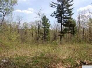 76 Harrington Dr, Austerlitz, NY 12017