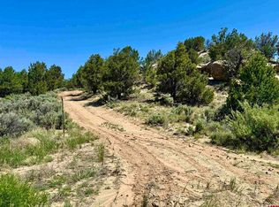 163 County Road 402, Lindrith, NM 87029