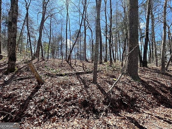 2nd image of 0 Bridge Creek Rd