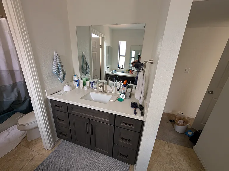 Primary bathroom