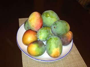 370 Aulii Dr, Makawao, HI 96768