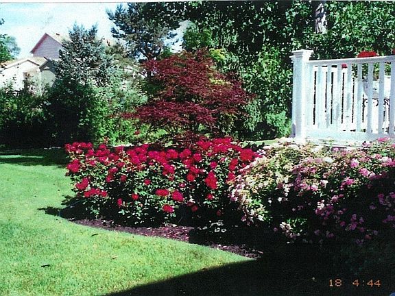 side view of deck and landscaping