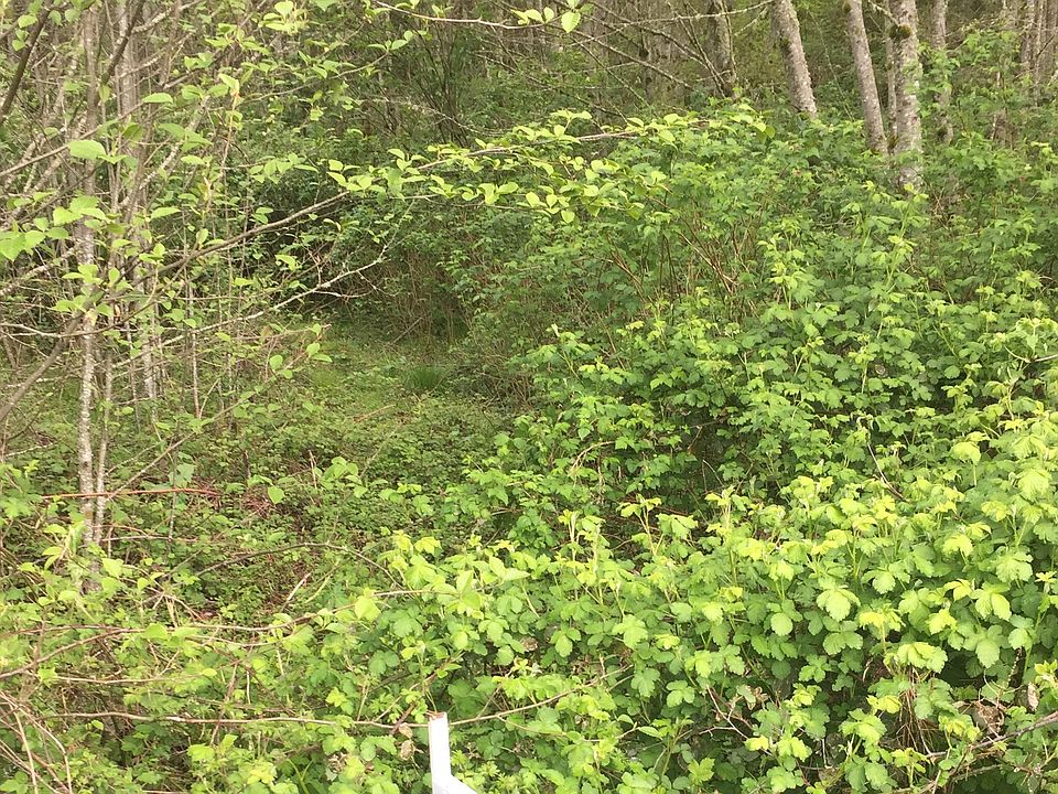 2nd image of 453 Ravenwood Rd