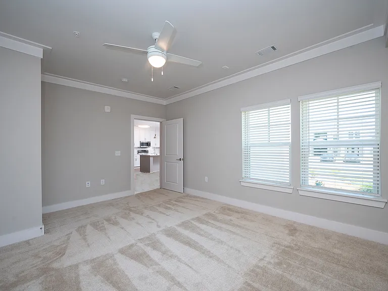 Greystone at Mulberry Grove — Photo 91