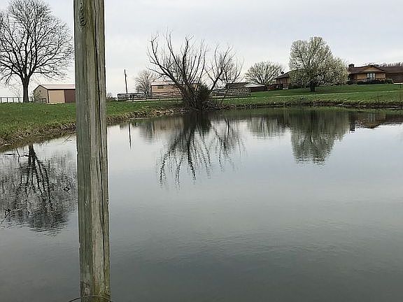 2nd image of 3031 Bradley Dr