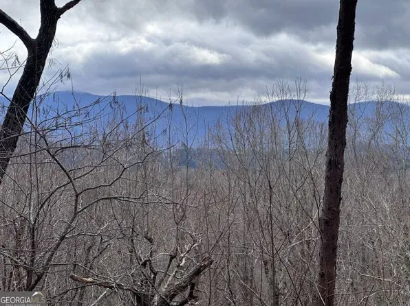 0 Cohutta Mountain Rd, Blue Ridge, GA 30513