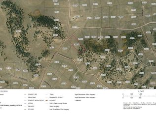 4689 Goldenburg Canyon Rd, Hartsel, CO 80449