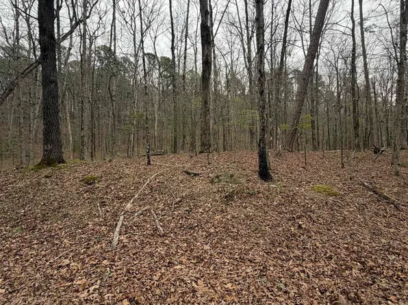 (undisclosed Address), Hot Springs Village, AR 71909