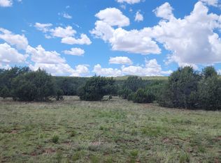 687D W Medicine Man Trl, Seligman, AZ 86337