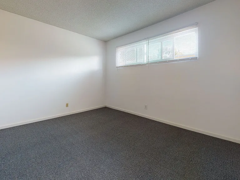 6587 Cervantes Rd — Photo 8