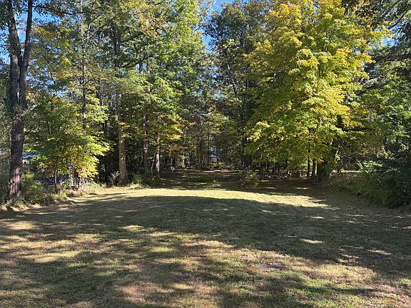 Large backyard