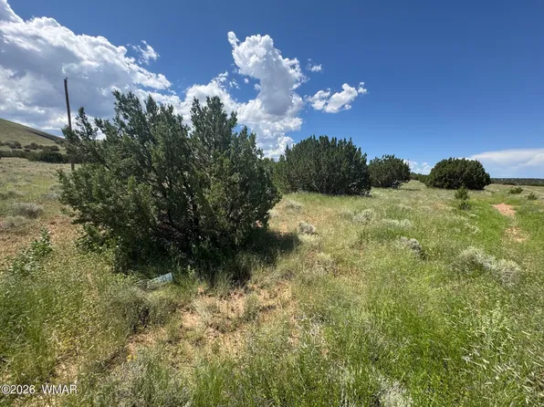 103 County Road 5202, Concho, AZ 85924