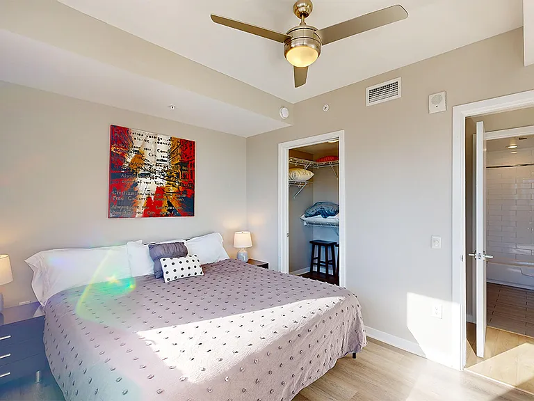 Spacious apartment bedroom with large closet and plush carpet flooring.