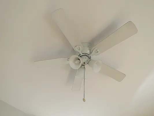 Rented by Corcoran | media 23