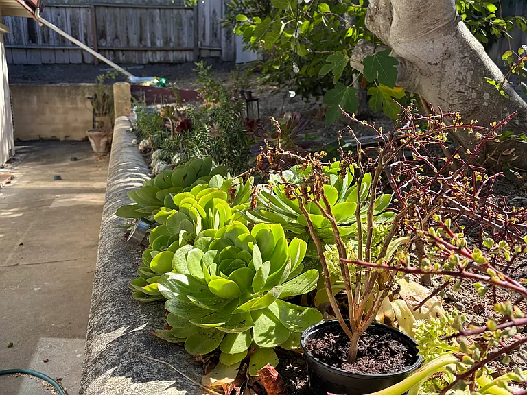 312 High St — Photo 17