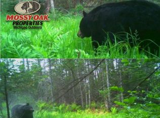 Emery Rd, Houghton Lake, MI 48629