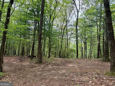 0 Secluded Pond Rd, Cleveland, GA, 30528