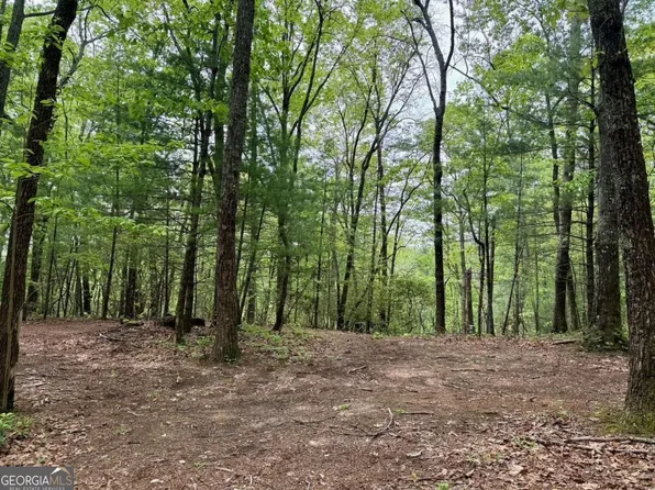 0 Secluded Pond Rd, Cleveland, GA 30528