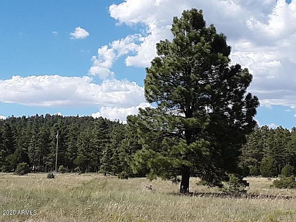 3rd image of 9341 Mountain Meadow Ln Lot 23Q