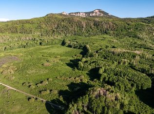 Wapiti Trl, Montrose, CO 81401