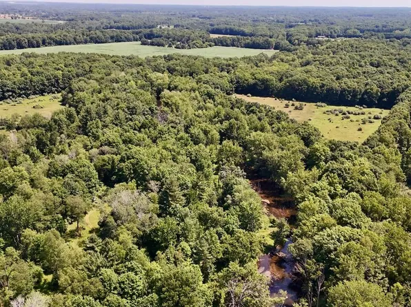 4718 W Church Rd, Six Lakes, MI 48886