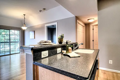3901 Penderview Dr #1521 Photo 1