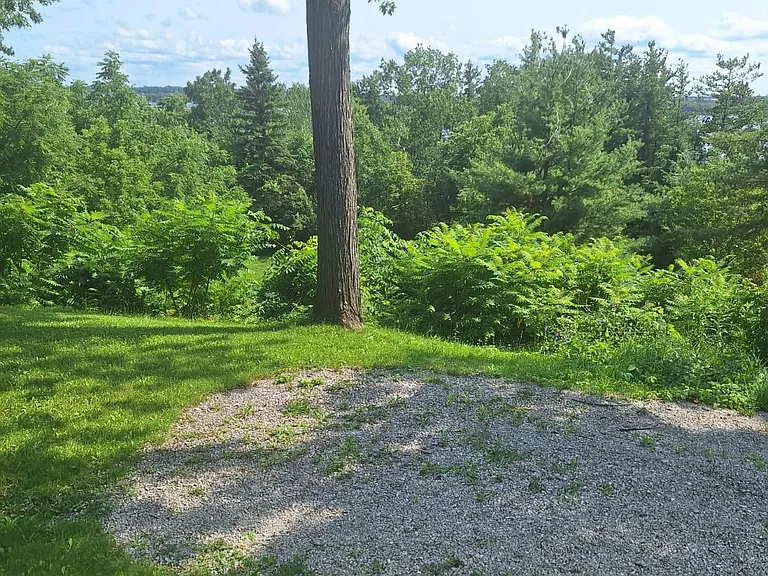 161 Shanty Bay Rd #BASEMENT — Photo 7