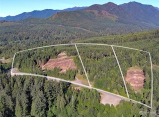 2 Mount Jupiter Rd, Brinnon, WA 98320