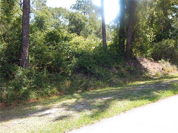 2nd image of Kumquat Ave