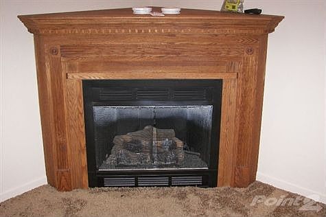 Gas Fireplace in Family Room