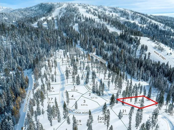 4 N Loop Rd, New Meadows, ID 83654