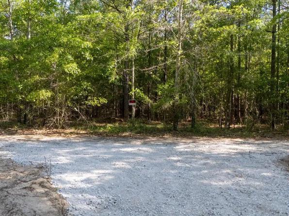 0 Wasp Loop Lot B, Williston, SC 29853