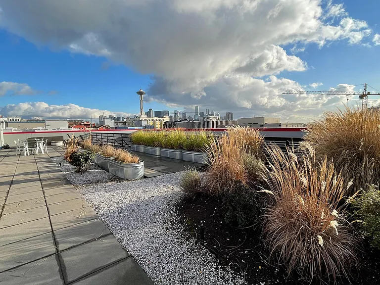 Queen Anne Flats — Photo 18