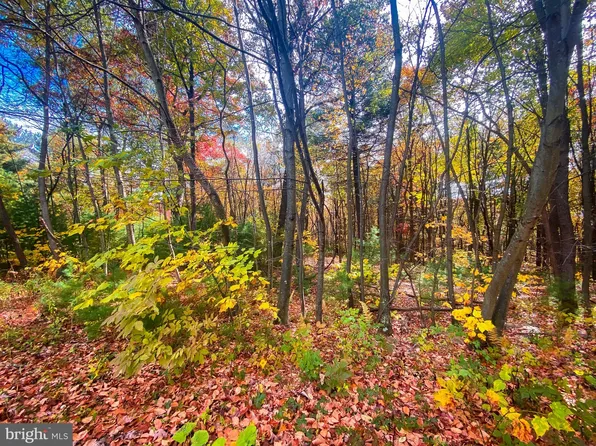 0 Longhorn Rd, Huntingdon, PA 16652