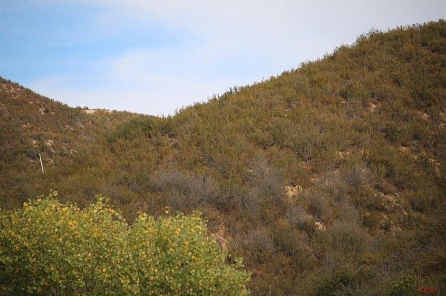 1st image of Calf Canyon Hwy