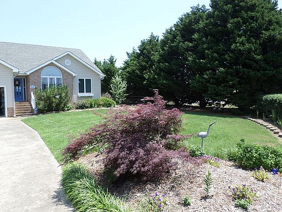 Japanese Maples at entry