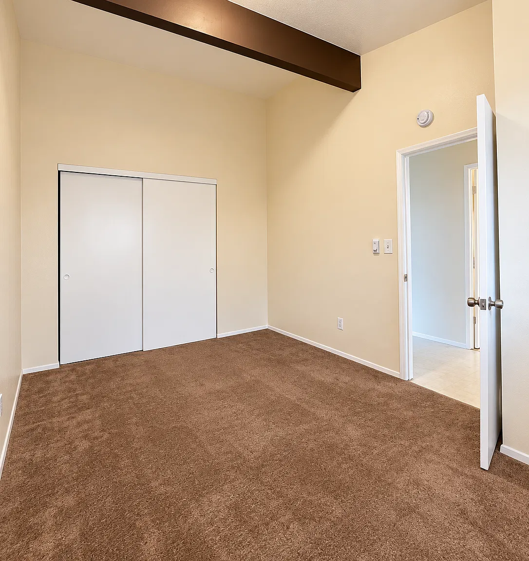 1 bed, $1,450 — Photo 4