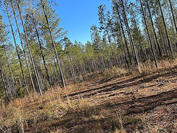 5th image of 550 Lee Road 333
