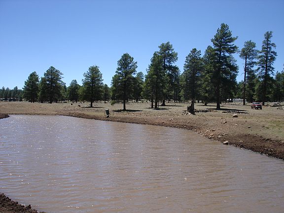 3rd image of 100 Forest Rd 93